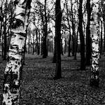 image: Image from the photoset ‘revisited (iii)’.