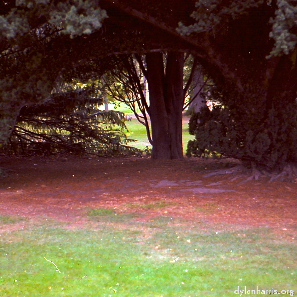 image: This is ‘revisited (v) 5’.