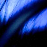 Image: Fourth image from the photoset 'revisited (xvii)'.