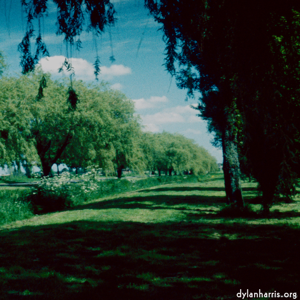 image: This is ‘crowland 5’.