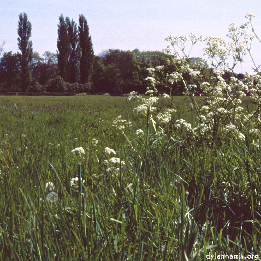Image 'south 4'.