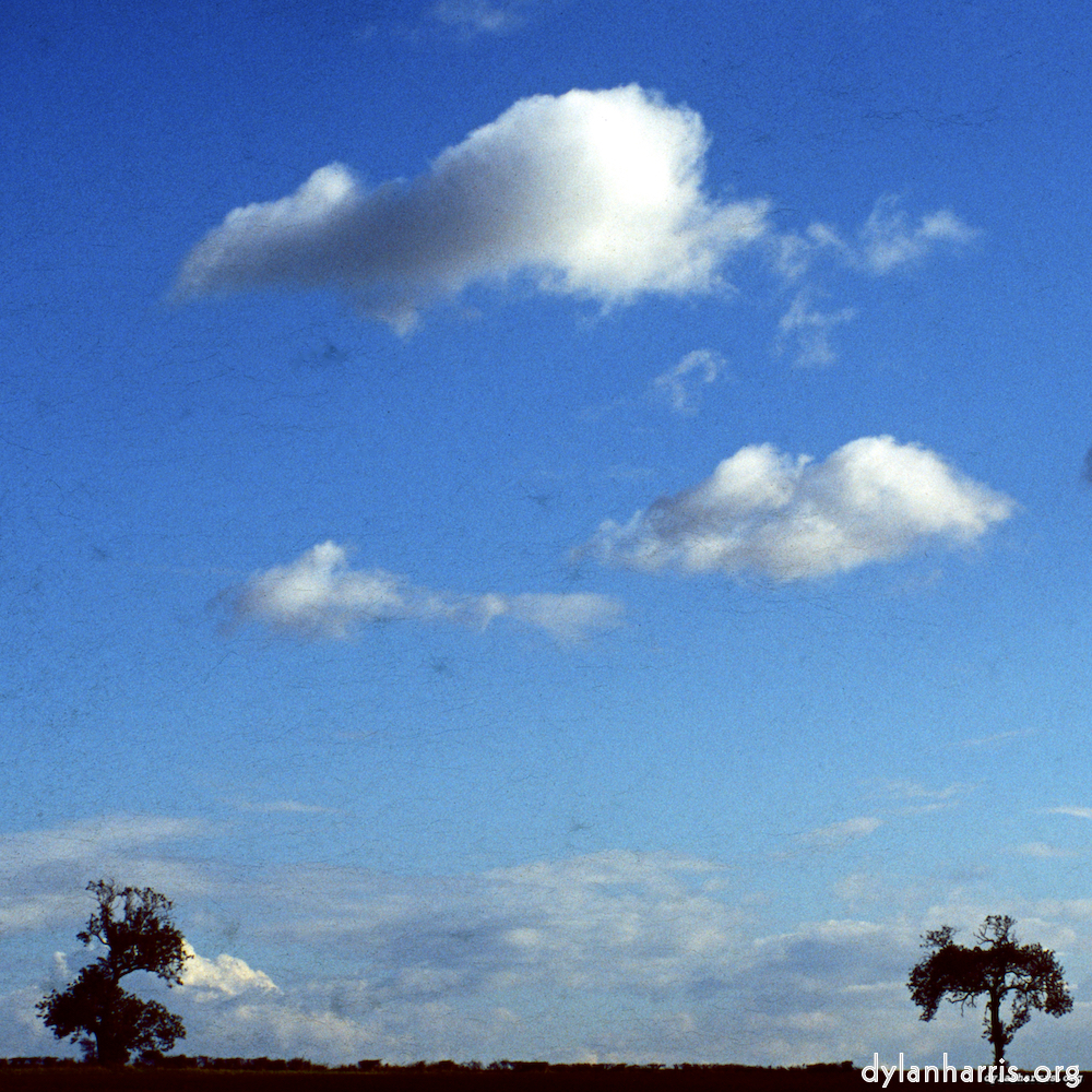Image: Image 'south 5'.