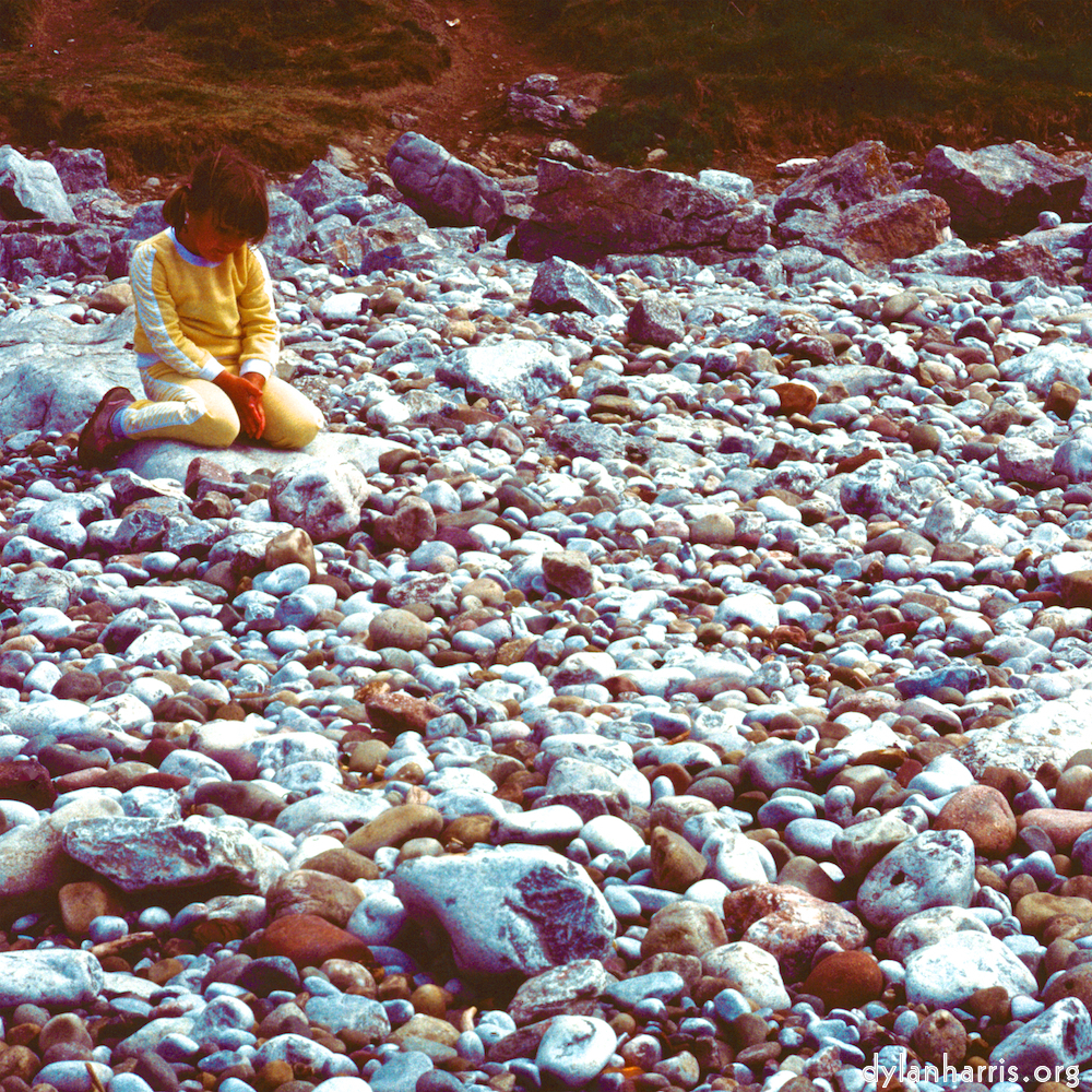 Image 'family (xviii) 2'.