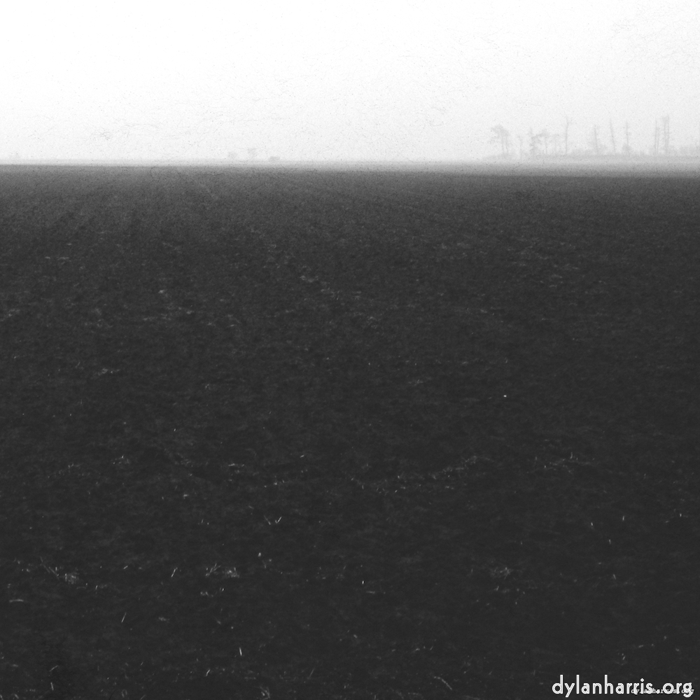 Image 'fen (v) 1'.