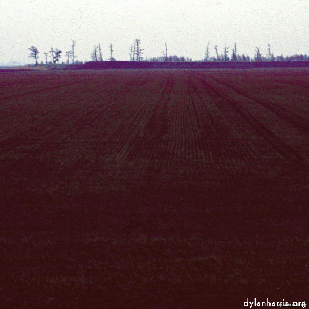 Image 'fen (v) 5'.