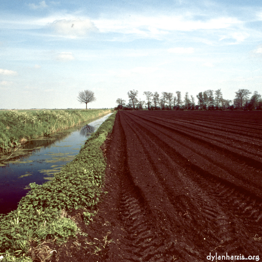 Image 'fen (v) 6'.