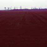 Fifth image from the photoset 'fen (v) '.
