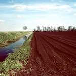 Sixth image from the photoset 'fen (v) '.