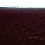 Seventh image from the photoset 'fen (v) '.