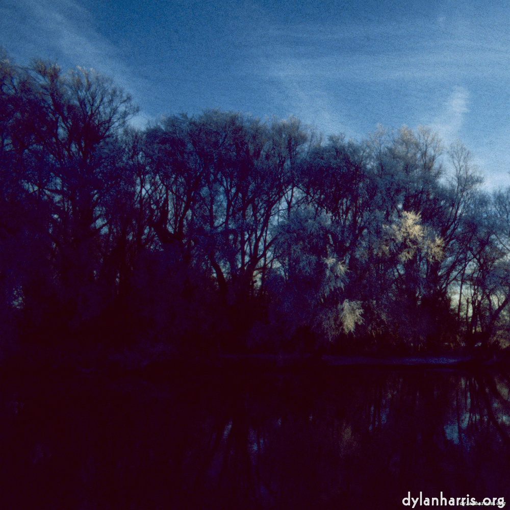 Image: Image 'st. neots park (v) 2'.