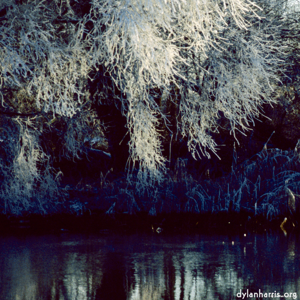 image: This is ‘st. neots park (v) 4’.