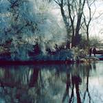 image: st.neots park (v) photoset