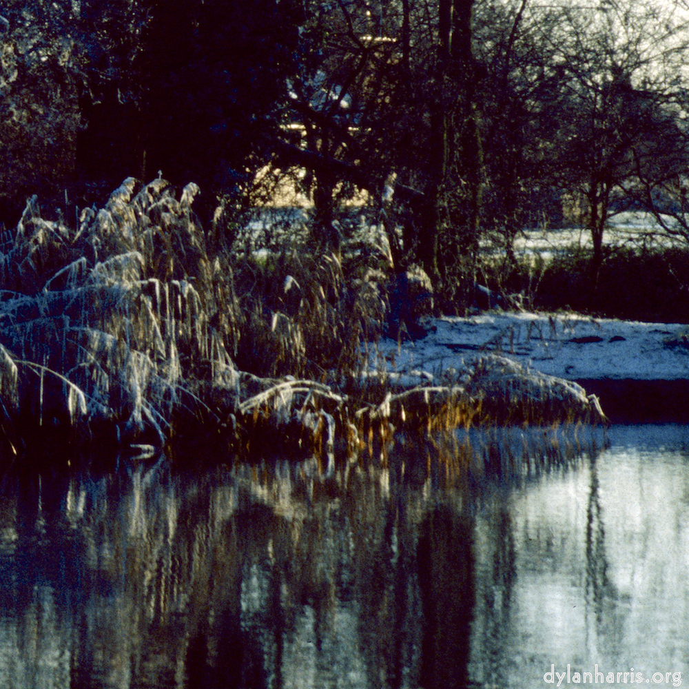 Image: Image 'st. neots park (vi) 4'.