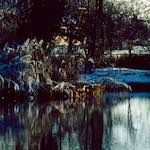 Fourth image from the photoset 'st. neots park (vi)'.