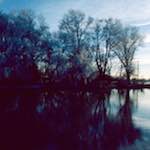 Fifth image from the photoset 'st. neots park (vi)'.