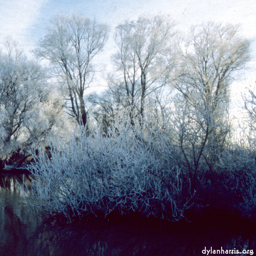Image: Image 'st. neots park (vii) 1'.