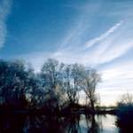 Fourth image from the photoset 'st. neots park (vii)'.