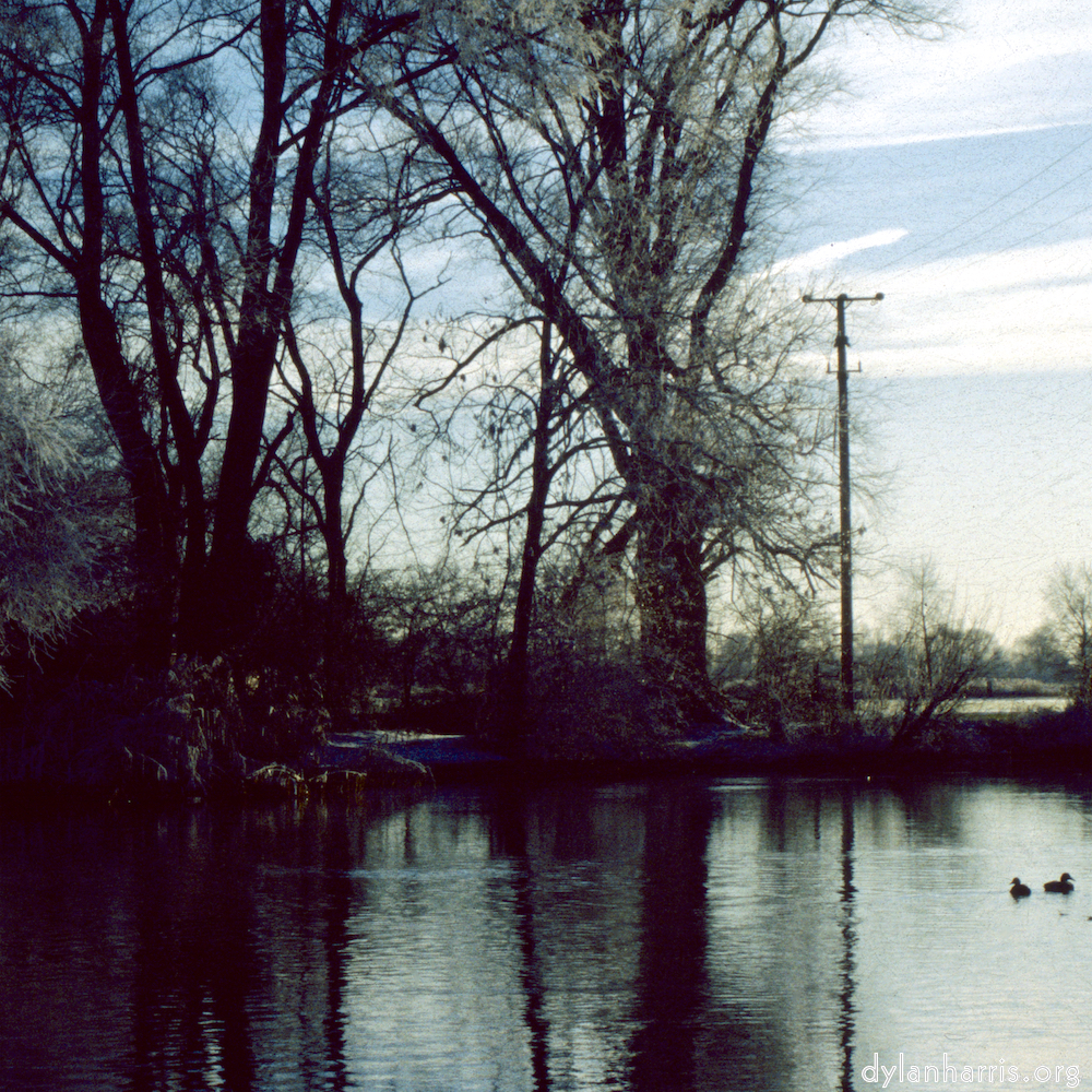 Image: Image 'st. neots park (viii) 2'.