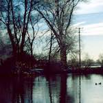 Image: Second image from the photoset 'st. neots park (viii)'.