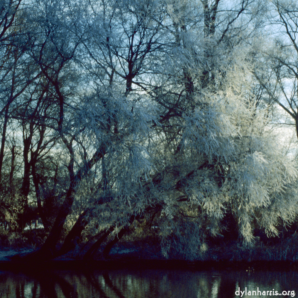 image: This is ‘st. neots park (ix) 1’.