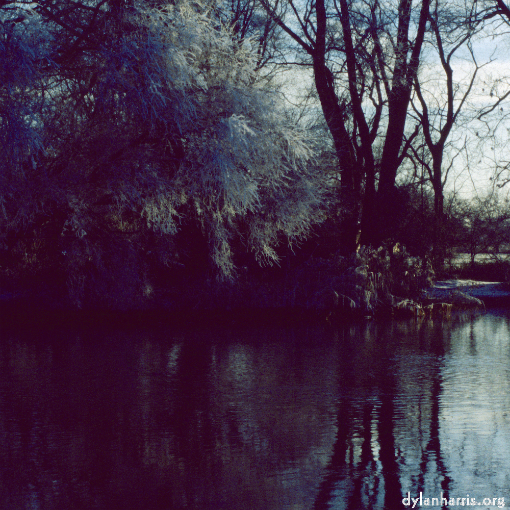 image: This is ‘st. neots park (ix) 3’.