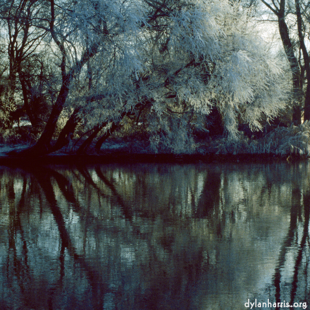 image: This is ‘st. neots park (ix) 4’.