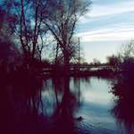 image: Image from the photoset ‘st. neots park (ix)’.