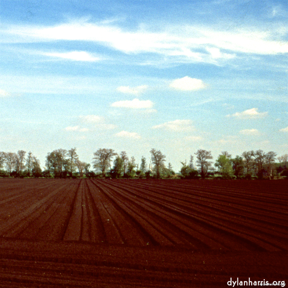 Image 'fen (vi) 2'.
