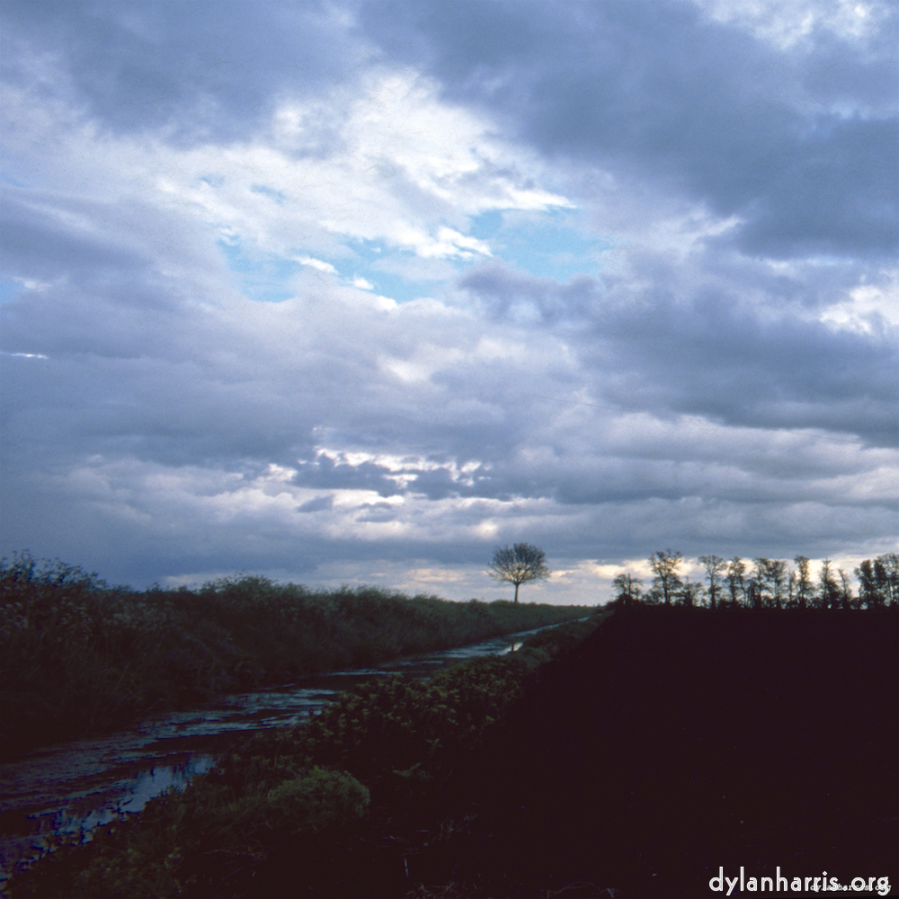 Image 'fen (vi) 5'.