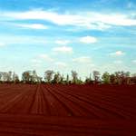 Second image from the photoset 'fen (vi) '.