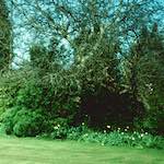 Image: Sixth image from the photoset 'kerry (xxxix)'.