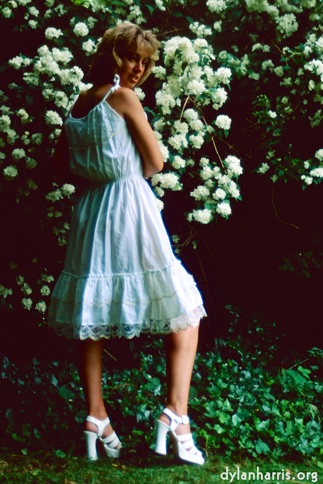 Image 'lisa (lii) 2'.