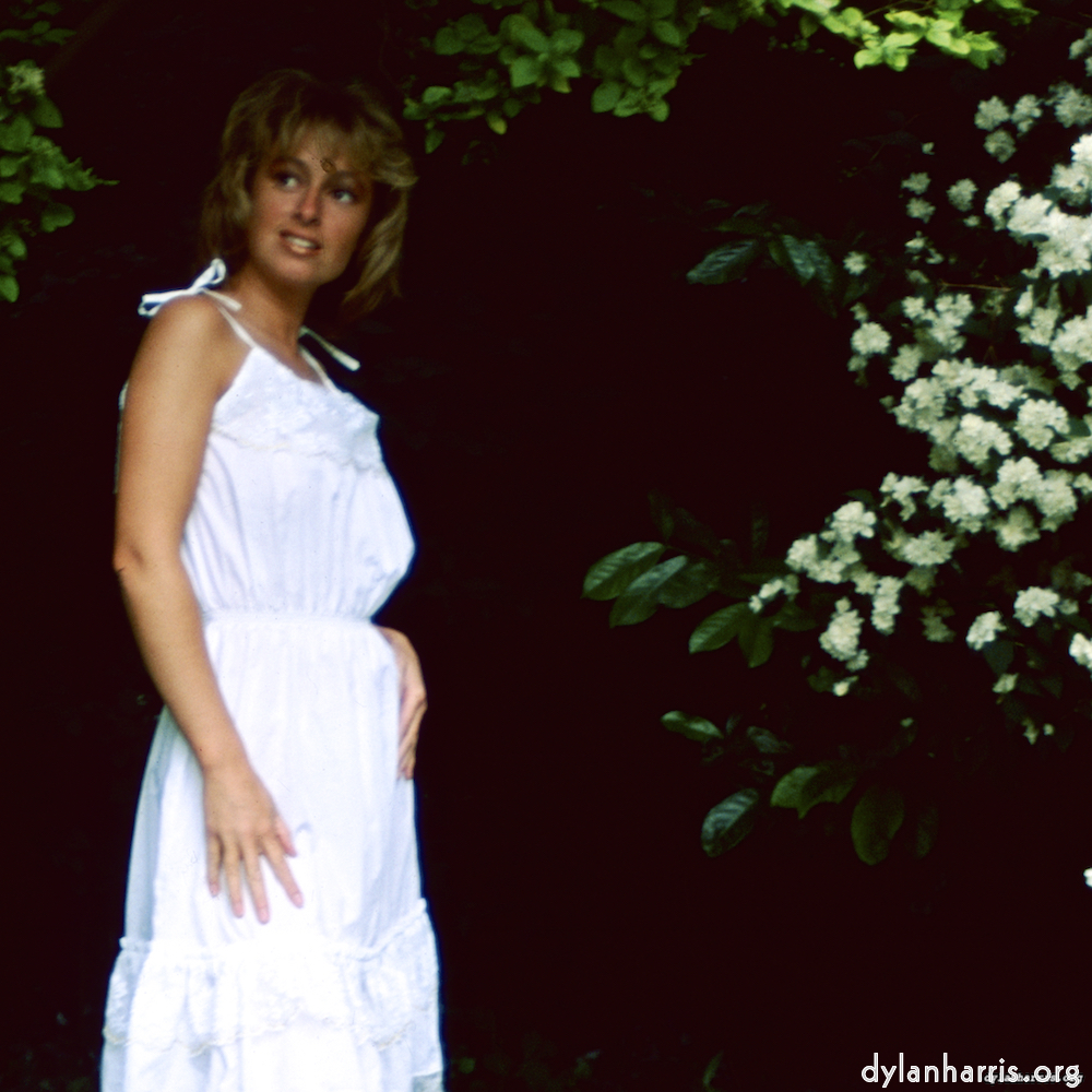 image: This is ‘lisa (xxiii) 1’.