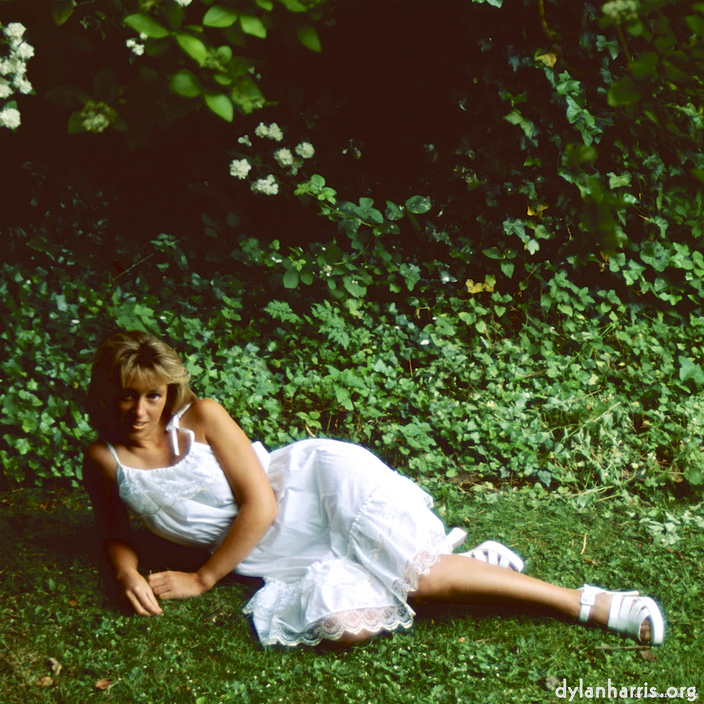 image: This is ‘lisa (xxiii) 2’.