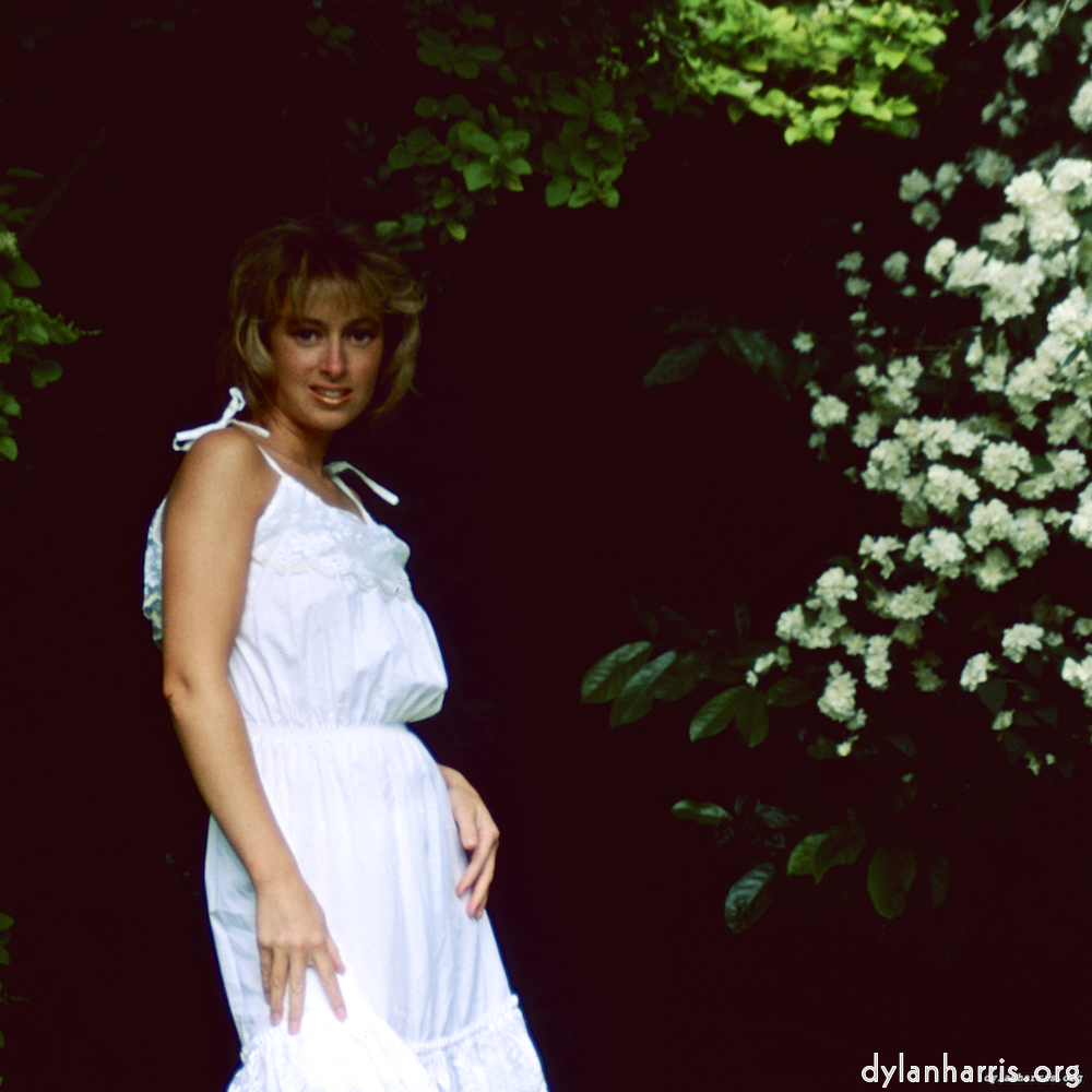 image: This is ‘lisa (xxiii) 4’.