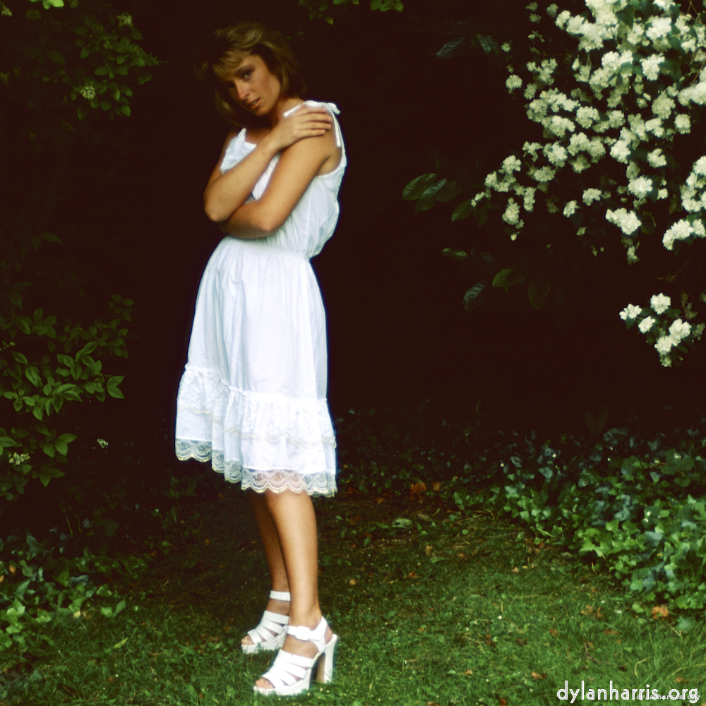 image: This is ‘lisa (xxiii) 8’.