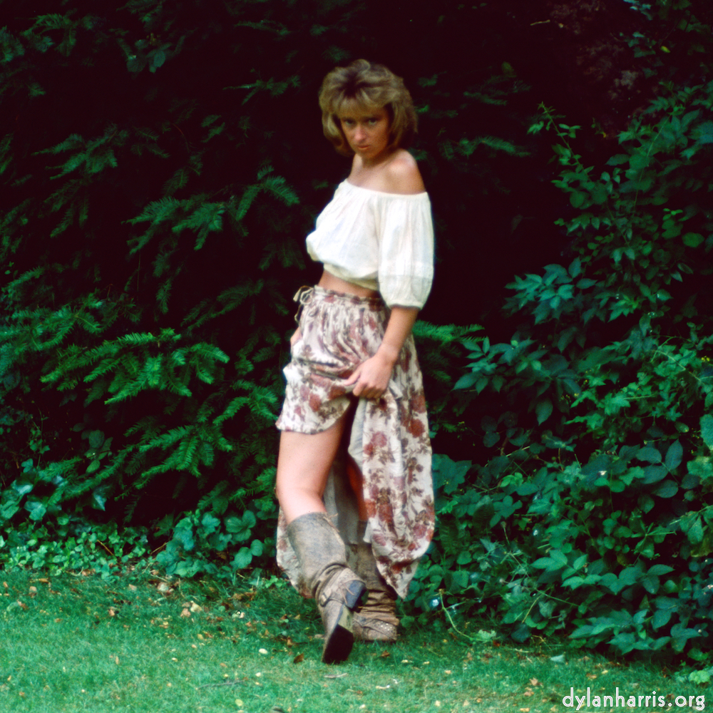 Image 'lisa (xxvii) 1'.
