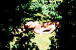 Image: Second image from the photoset 'lisa (liv)'.
