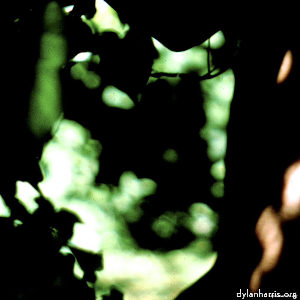 image: This is ‘lisa (lvii) 2’.