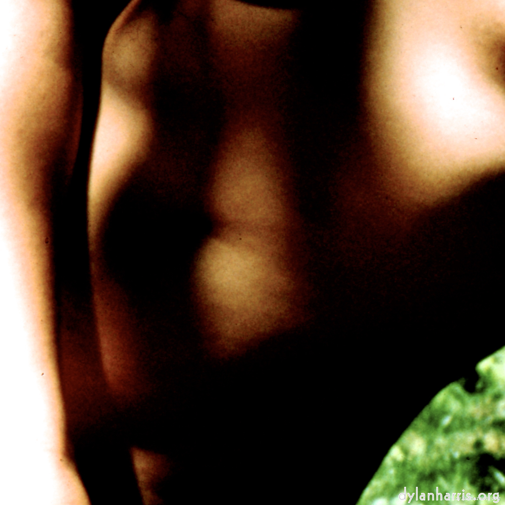 Image 'lisa (lvii) 4'.