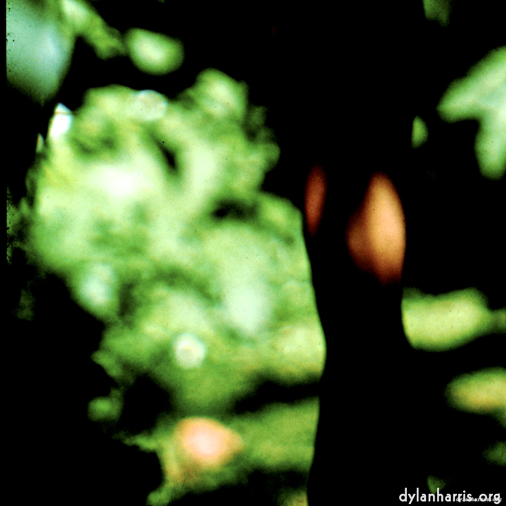 image: This is ‘lisa (lvii) 7’.
