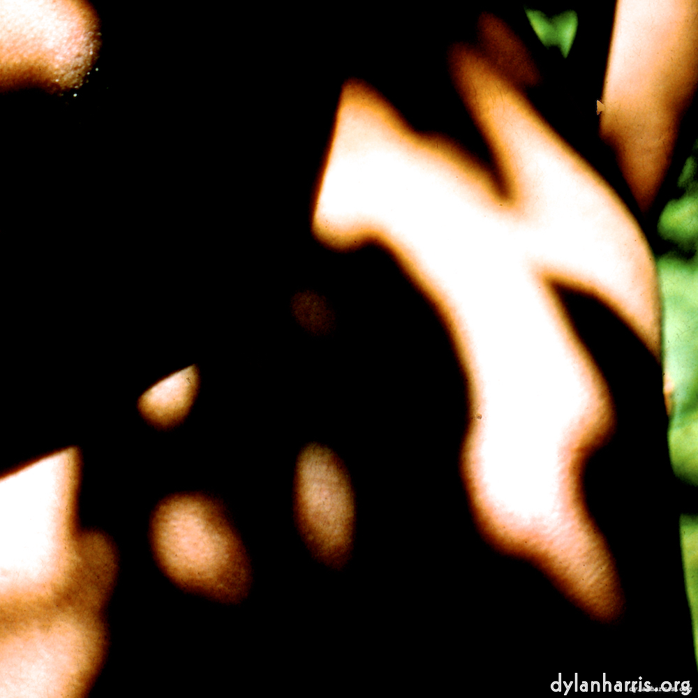 image: This is ‘lisa (lvii) 9’.