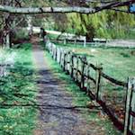 image: Image from the photoset ‘barnwell (iii)’.