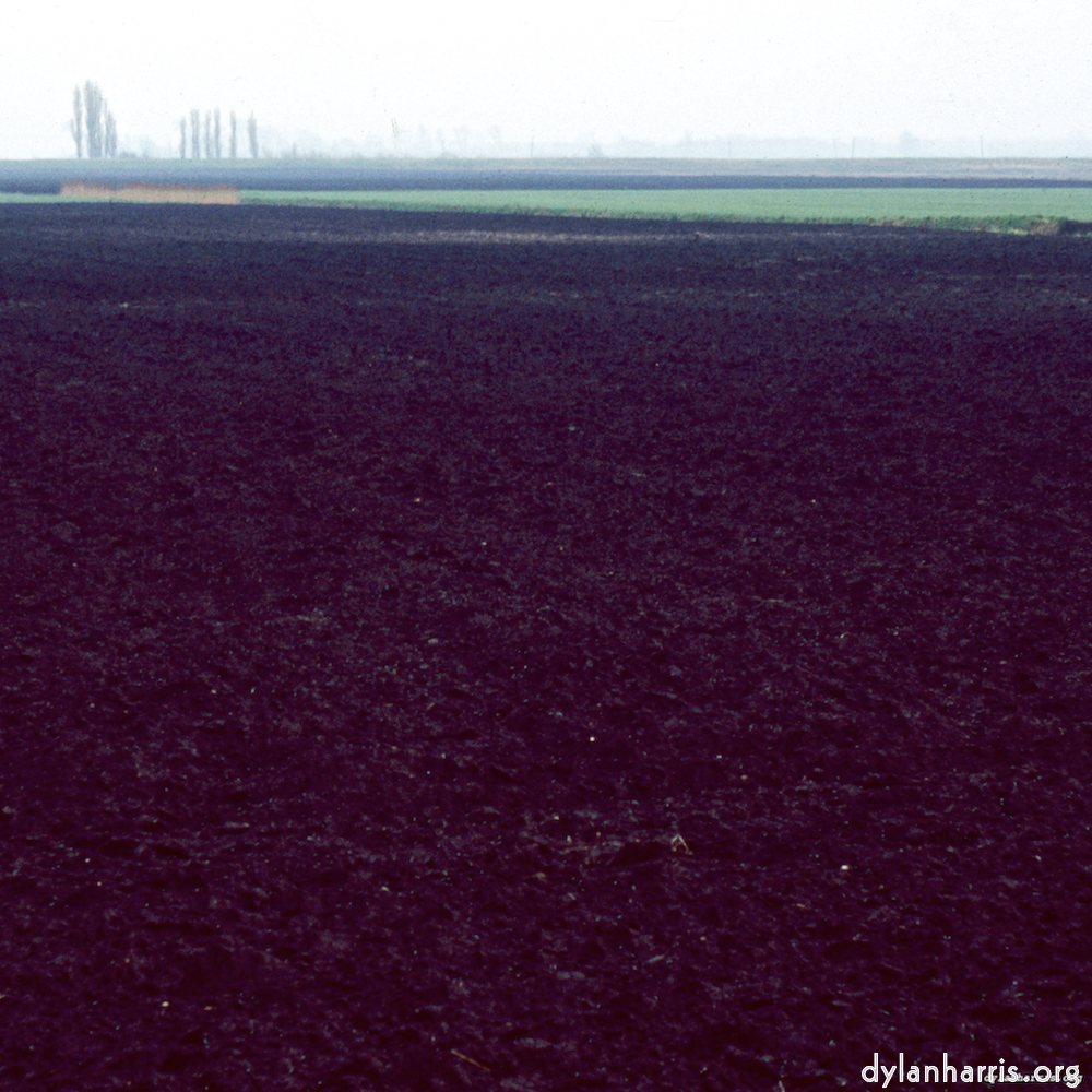 Image 'fen (x) 1'.