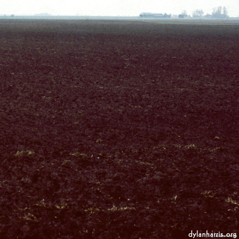 Image 'fen (x) 9'.