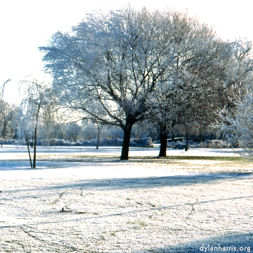 Image 'st. neots park (iv) 6'.