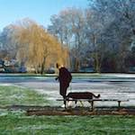 Fifth image from the photoset 'st. neots park (iv)'.