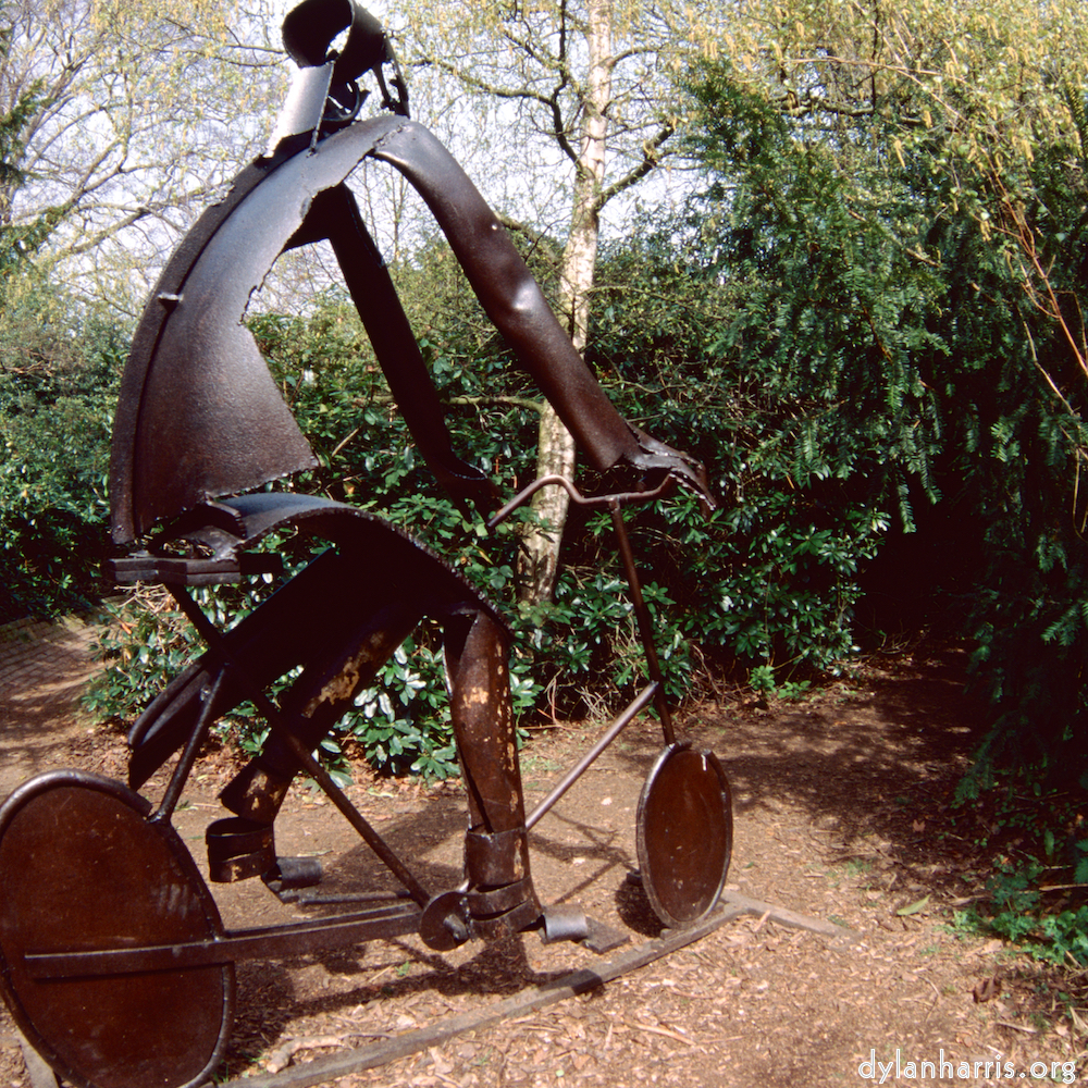 Image 'yorkshire (x) 8'.
