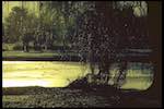 image: Image from the photoset ‘st. neots (i)’.
