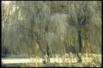 image: Image from the photoset ‘st. neots (i)’.